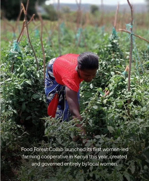 Food Forest Collab launched its first women-led farming cooperative in Kenya this year, created and governed entirely by local women.