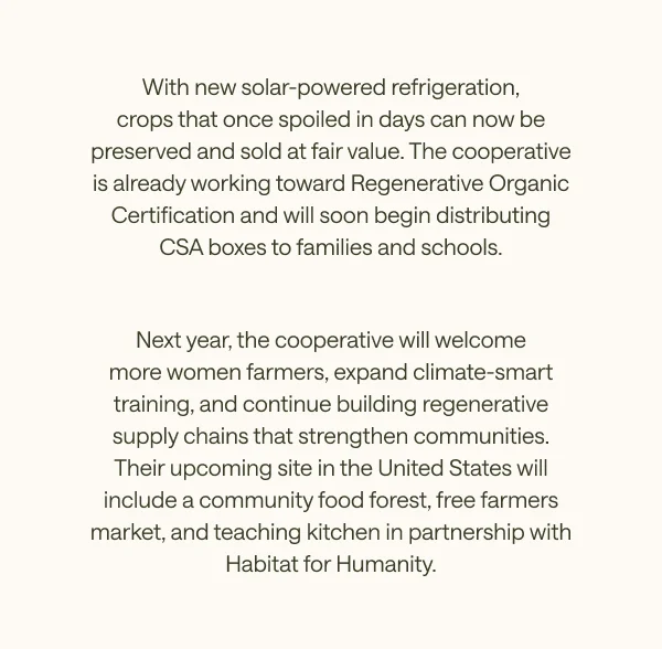 With new solar-powered refrigeration, crops that once spoiled in days can now be preserved and sold at fair value.