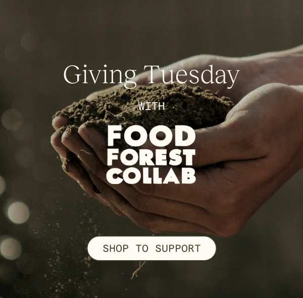 Giving Tuesday with Food Forest Collab