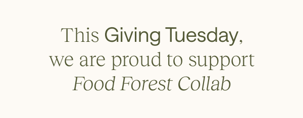 This Giving Tuesday, we are proud to support Food Forest Collab
