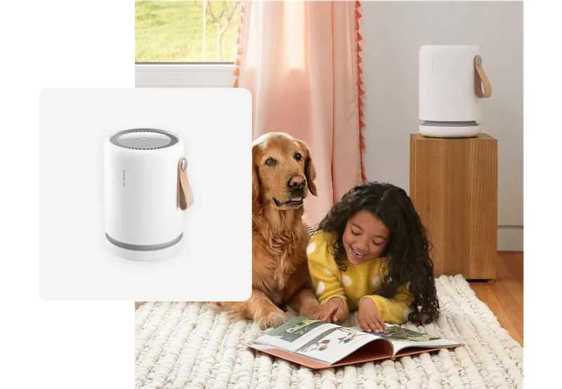 Molekule Mini Air Purifier