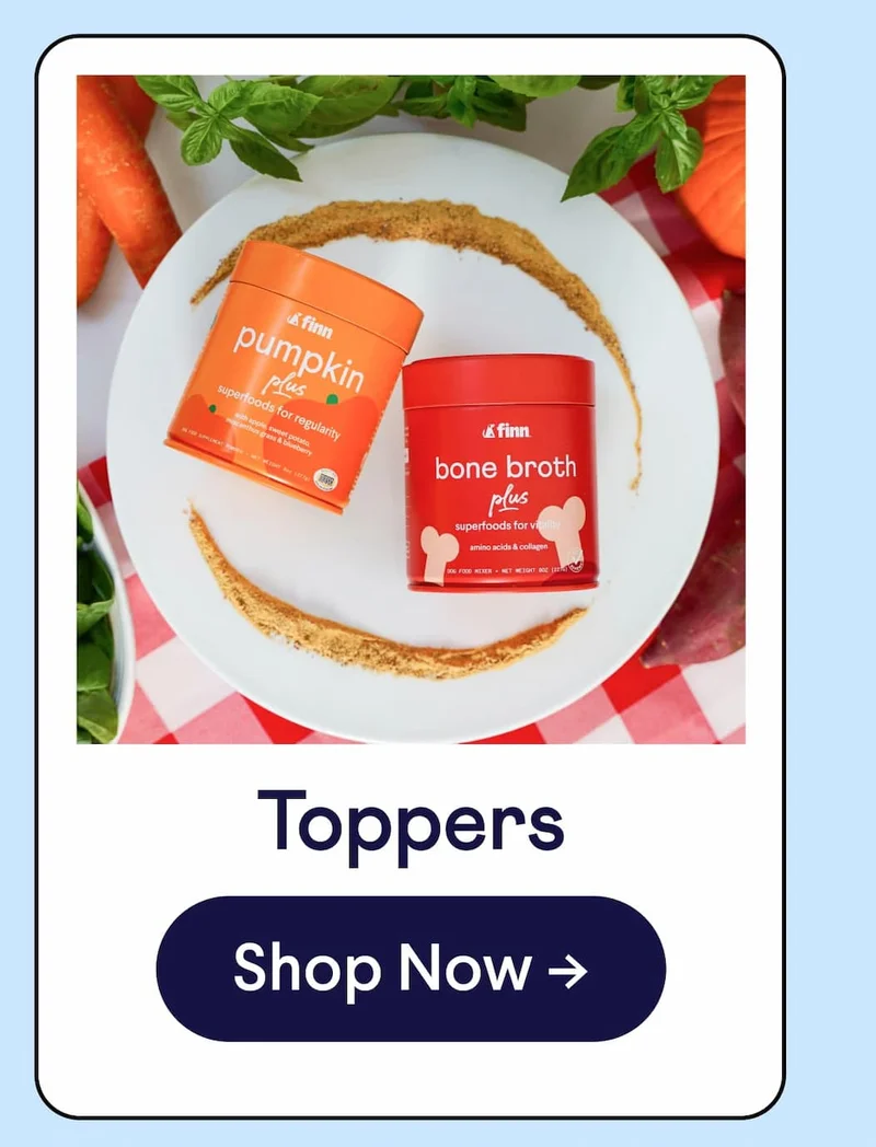 Toppers: Shop Now –>