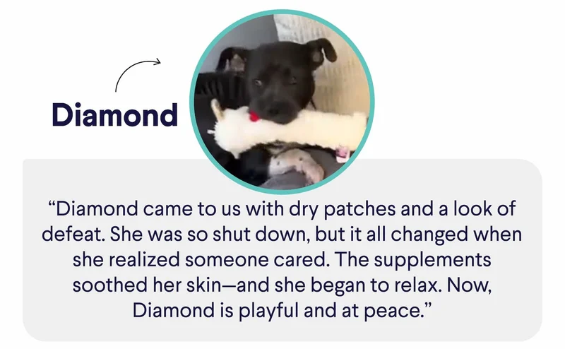 Diamond: “Diamond came to us with dry patches and a look of defeat. She was so shut down, but it all changed when she realized someone cared. The supplements soothed her skin—and she began to relax. Now, Diamond is playful and at peace.”