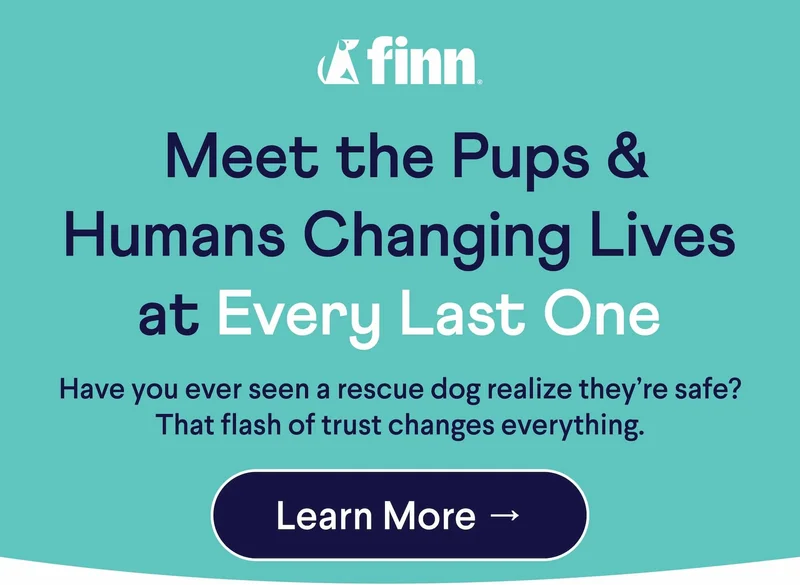 Meet the Pups & Humans Changing Lives at Every Last One Have you ever seen a rescue dog realize they’re safe? That flash of trust changes everything.  Learn More →