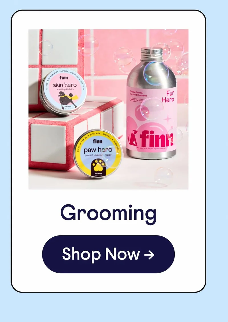 Grooming: Shop Now –>
