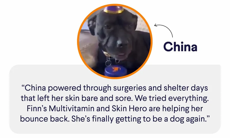 China: “China powered through surgeries and shelter days that left her skin bare and sore. We tried everything. Finn’s Multivitamin and Skin Hero are helping her bounce back. She’s finally getting to be a dog again.”