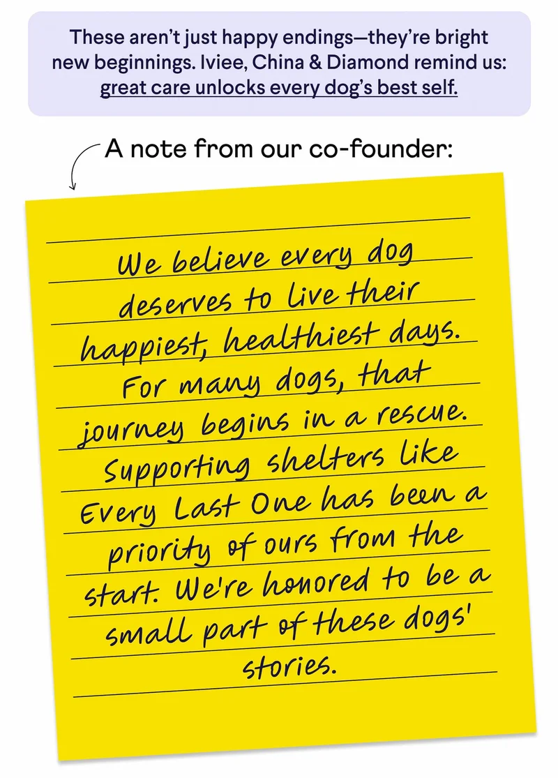These aren’t just happy endings—they’re bright new beginnings. Iviee, China & Diamond remind us: great care unlocks every dog’s best self. A note from our co-founder: We believe every dog deserves to live their happiest, healthiest days. For many dogs, that journey begins in a rescue. Supporting shelters like Every Last One has been a priority of ours from the start. We're honored to be a small part of these dogs' stories. – Randall, Co-Founder & President