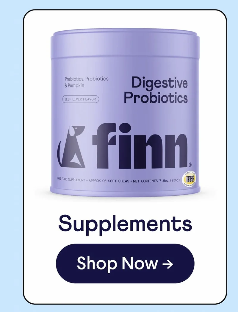 Supplements: Shop Now –>