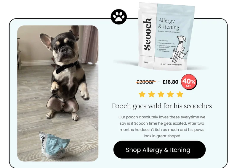 Allergy and Itching