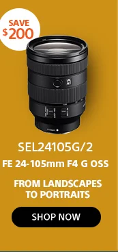 Save SEL24105G/2 FE 24-105mm F4 G OSS From landscapes to portraits Shop now