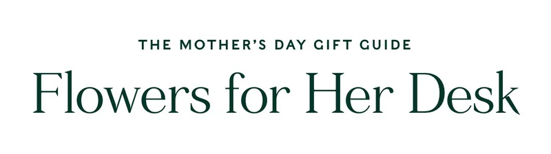 Shop Mother's Day Gift Guide