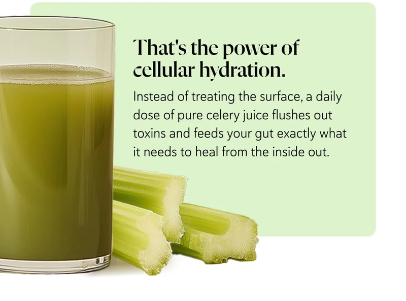 Instead of treating the surface, a daily dose of pure celery juice flushes out toxins and feeds your gut exactly what it needs to heal from the inside out.