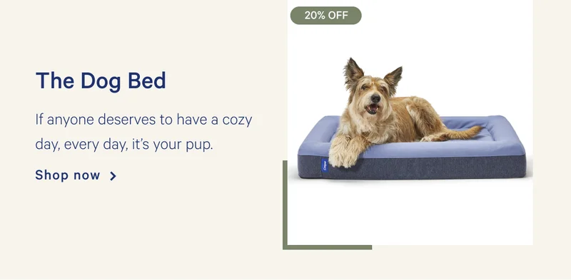 The Dog Bed >> If anyone deserves to have a cozy day, every day, it’s your pup. >> Shop now >>