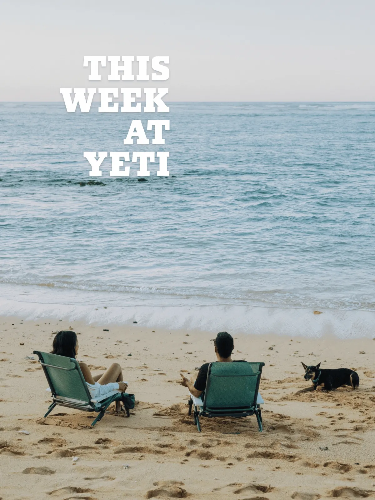This Week At YETI
