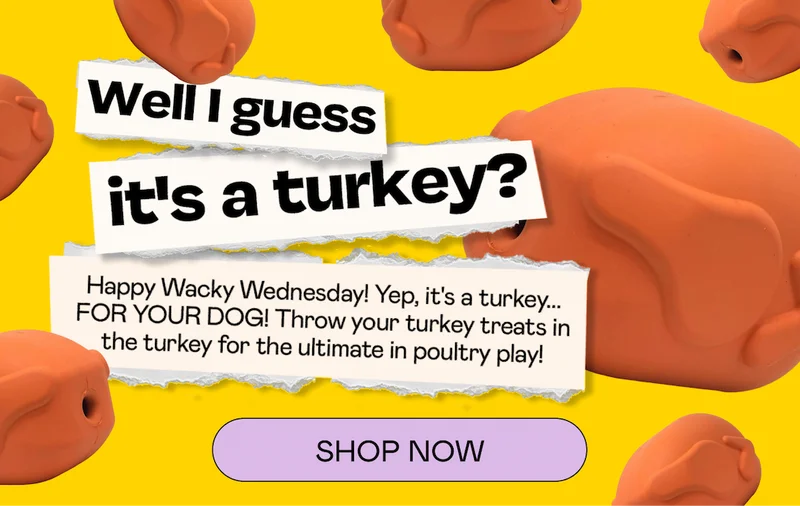 Happy Wacky Wednesday! | SHOP NOW
