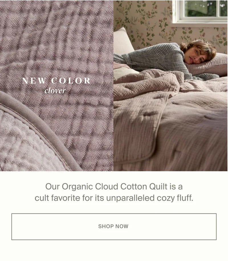 Shop Organic Cotton Quilt in Clover