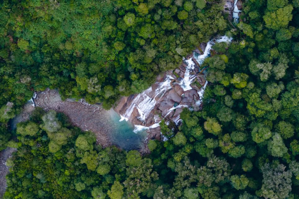 Aerial view of a river winding through a dense forest.