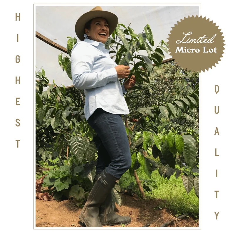 IT’S HERE: FINCA EL PUENTE GESHA