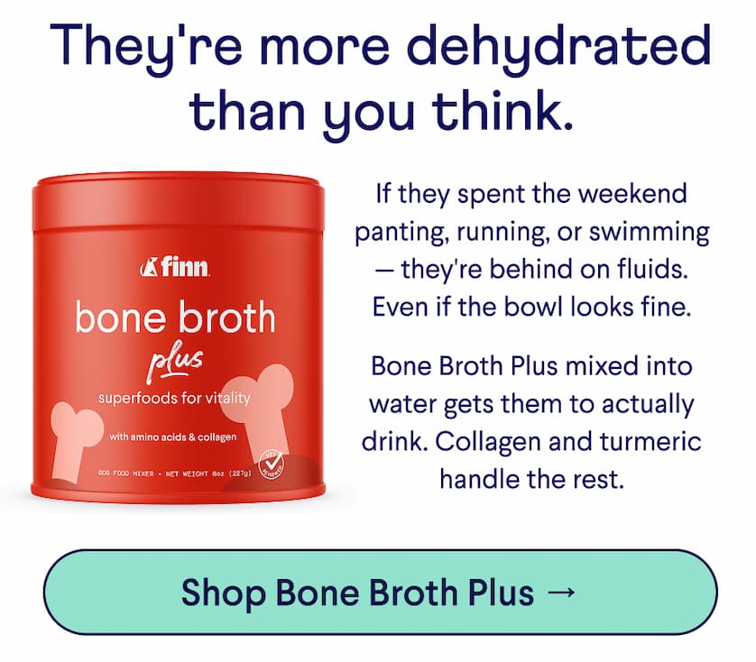 Text: They're more dehydrated than you think. If they spent the weekend panting, running, or swimming — they're behind on fluids. Even if the bowl looks fine. &nbsp; Bone Broth Plus mixed into water gets them to actually drink. Collagen and turmeric handle the rest.  CTA: Shop Bone Broth Plus →