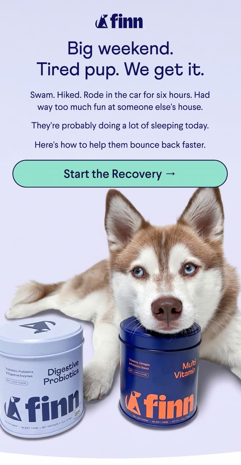 Finn Logo. Text: Big weekend. Tired pup. We get it. Swam. Hiked. Rode in the car for six hours. Had way too much fun at someone else's house. &nbsp; They're probably doing a lot of sleeping today. &nbsp; Here's how to help them bounce back faster.  CTA: Start the Recovery →
