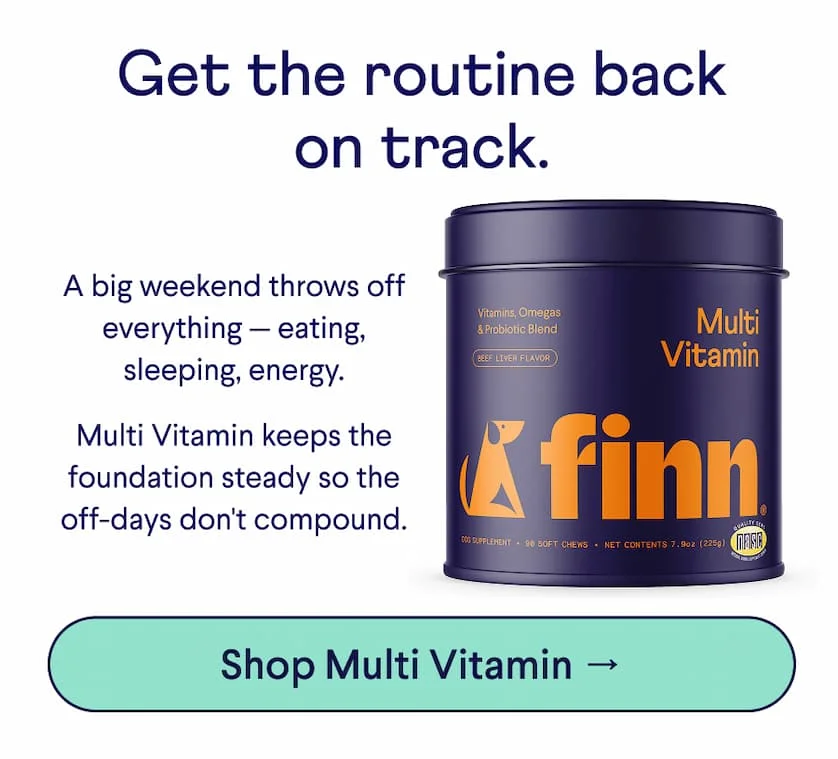 Text: Get the routine back on track. &nbsp; A big weekend throws off everything — eating, sleeping, energy. &nbsp; Multi Vitamin keeps the foundation steady so the off-days don't compound.  CTA: Shop Multi Vitamin →