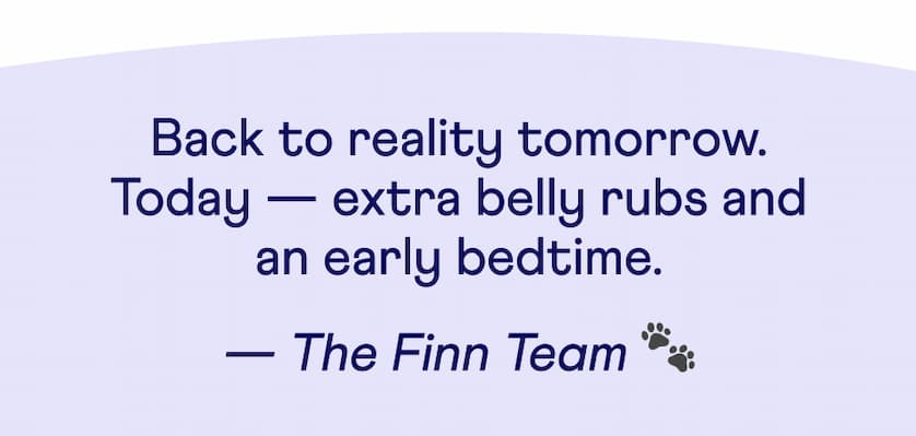 Text: Back to reality tomorrow. Today — extra belly rubs and an early bedtime.  — The Finn Team 🐾