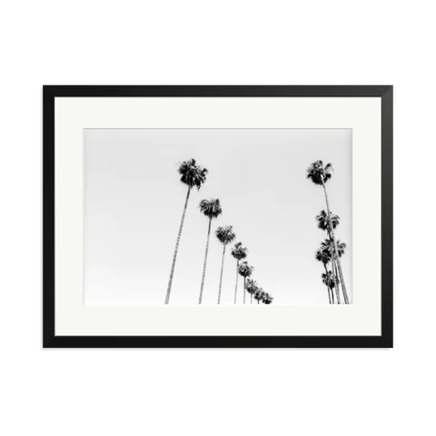 LA Palms Framed Print