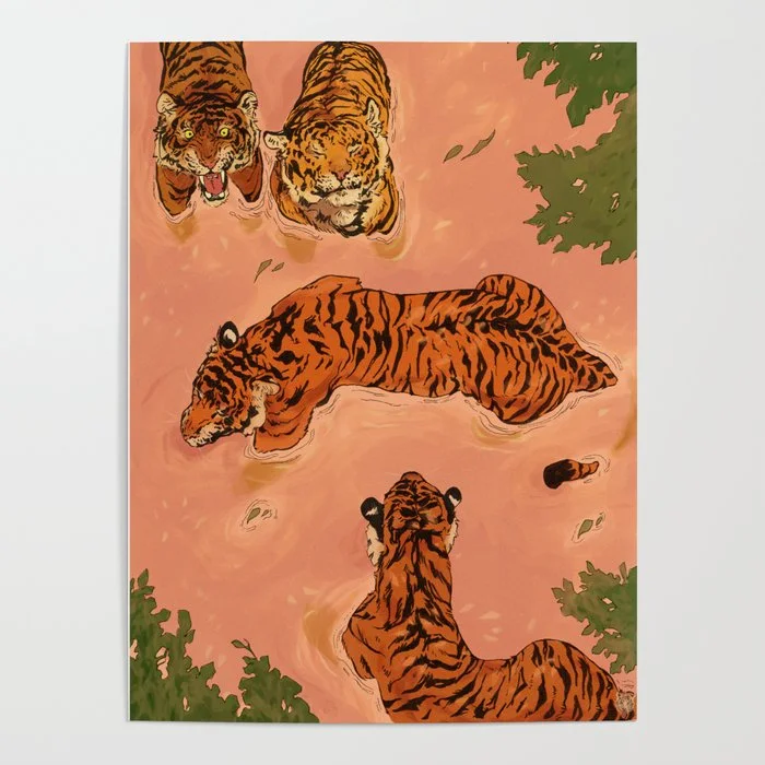 Tiger Beach Poster Poster