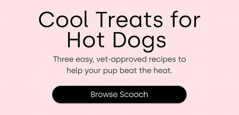 Browse Scooch