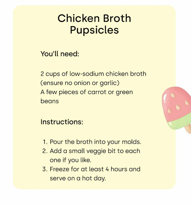 Chicken Broth Pupsicles