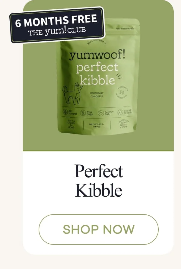 Perfect Kibble | shop now