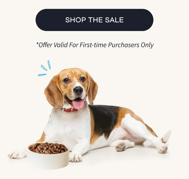 SHOP THE SALE | *Offer Valid For First-time Purchasers Only