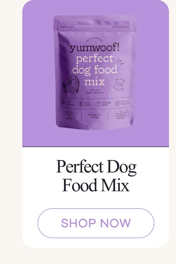 Perfect Dog Food Mix | shop now