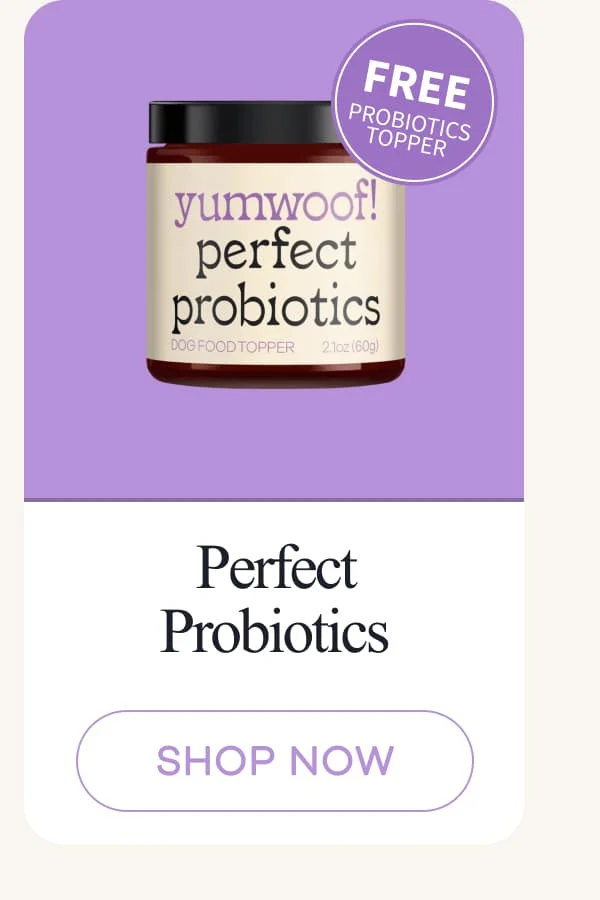 Perfect Probiotics | shop now