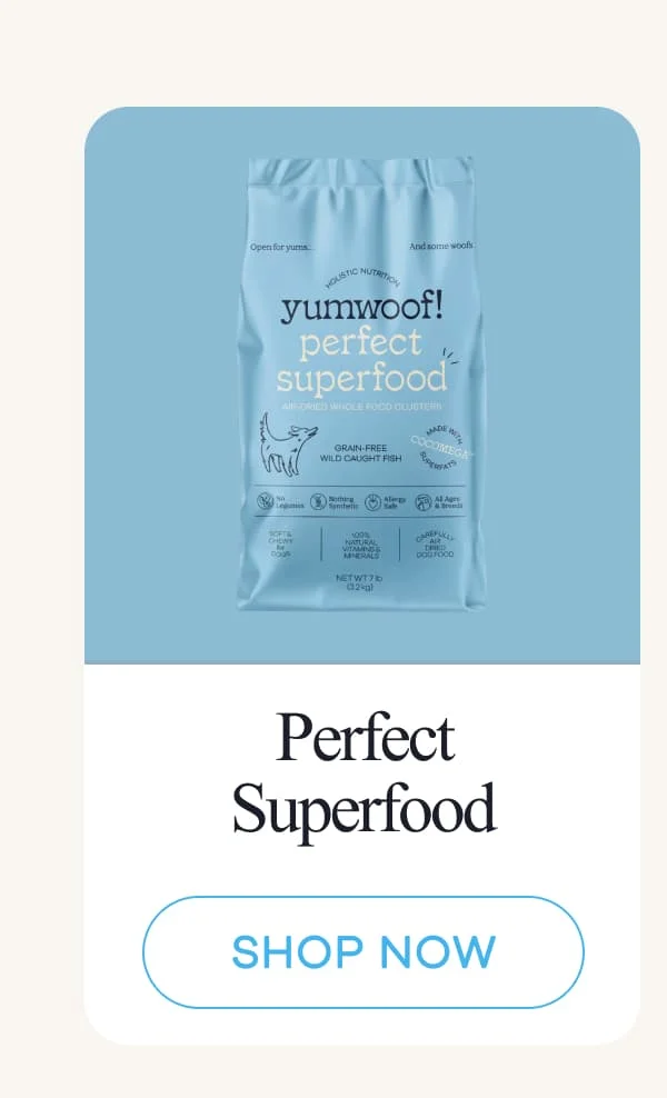 Perfect Superfood | shop now