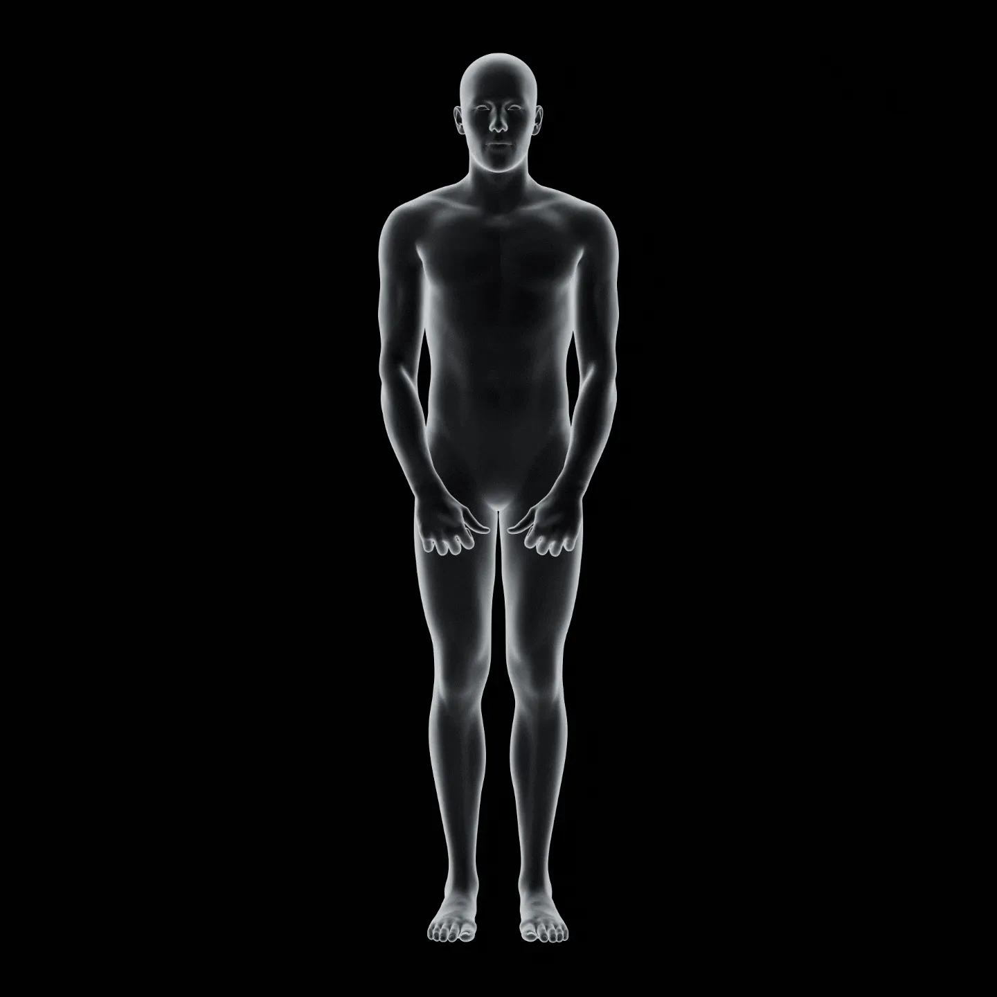 Body Scan 2