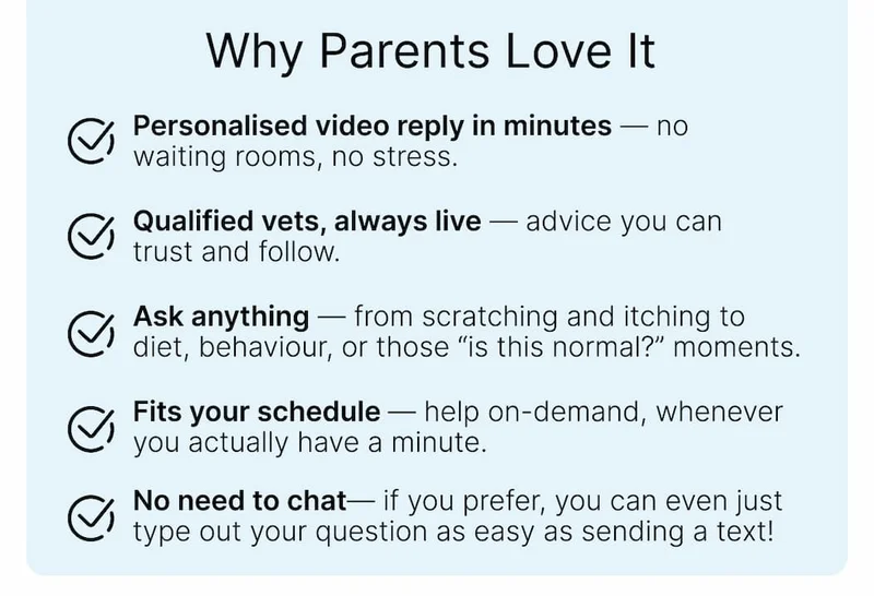 Why Parents Love It