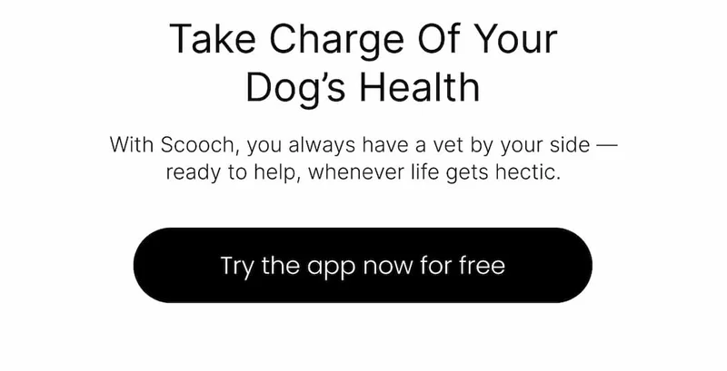 Try the app now for free
