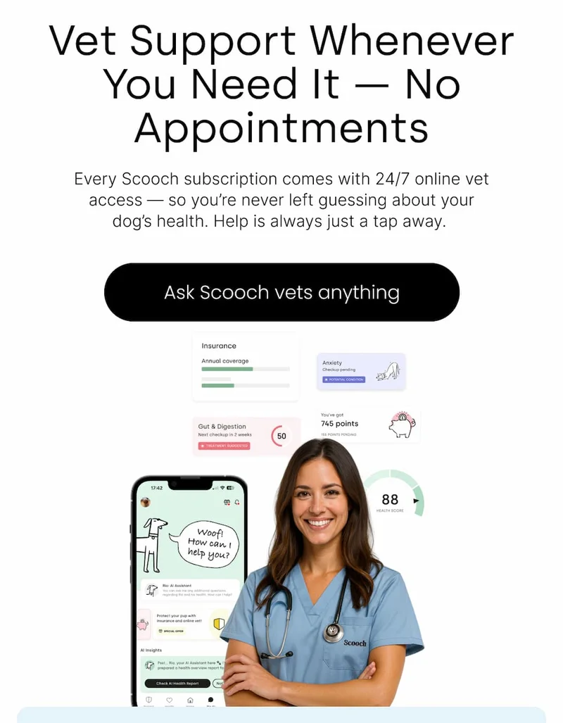 Ask Scooch vets anything