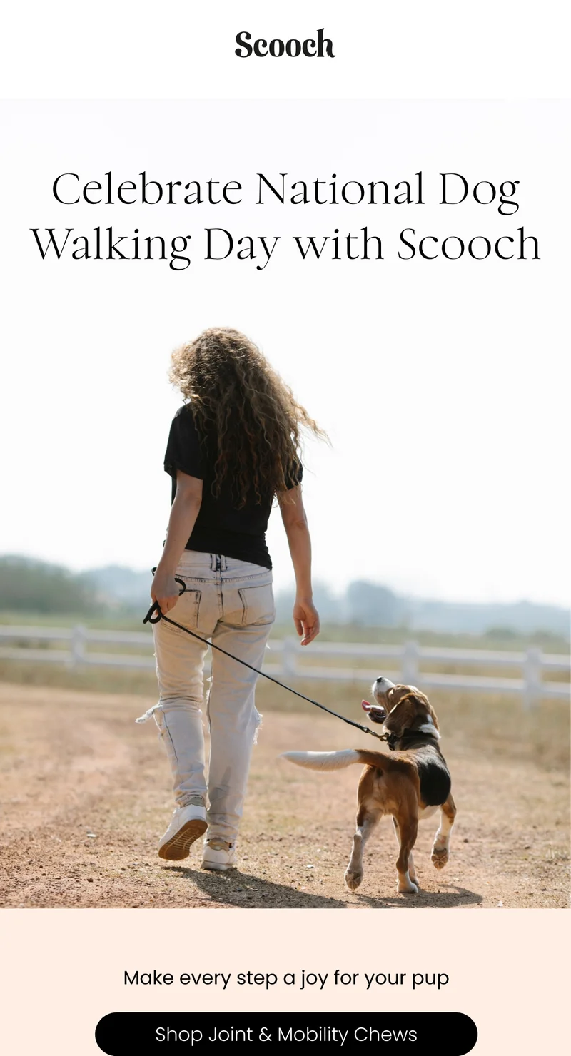 Celebrate National Dog Walking Day with Scooch - Shop Joint & Mobility