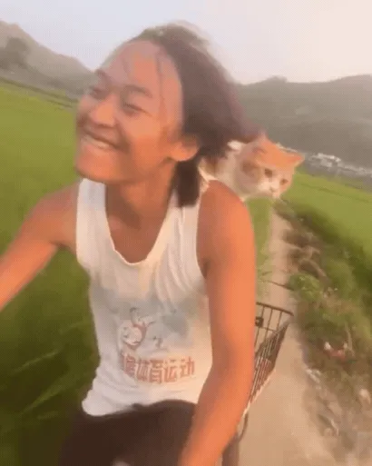A video of a person riding a bike while a cat holds onto their back for dear life.