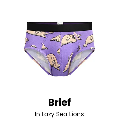 Brief