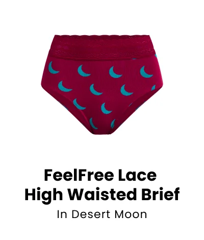 FeelFree Lace High Waisted Brief