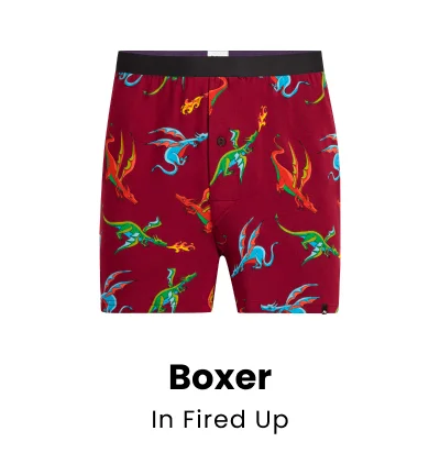 Boxer