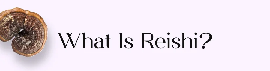 What is Reishi?