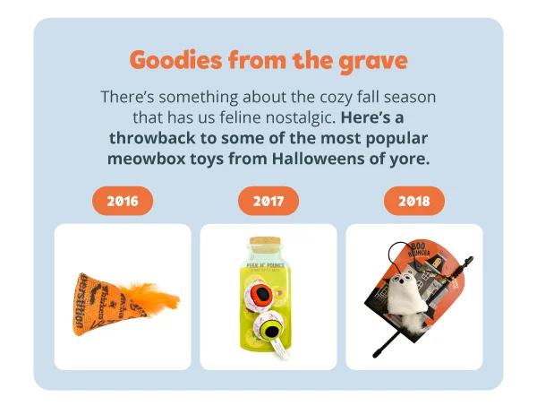 **Goodies from the grave**  There’s something about the cozy fall season that has us feline nostalgic. Here’s a throwback to some of the most popular meowbox toys from Halloweens of yore.