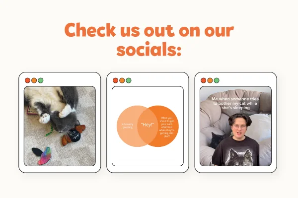 Check us out on our socials! Images of the 3 latest meowbox posts