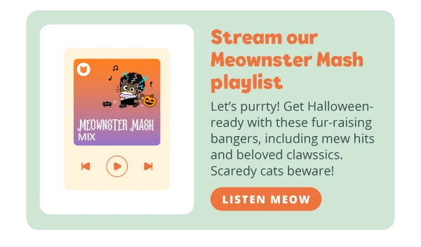 **Stream our Meownster Mash playlist**  Let’s purrty! Get Halloween-ready with these fur-raising bangers, including mew hits and beloved clawssics. Scaredy cats beware! Listen meow.