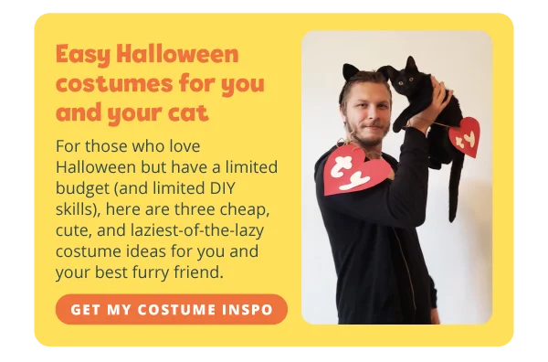 **Easy Halloween costumes for you and your cat**  For those who love Halloween but have a limited budget (and limited DIY skills), here are three cheap, cute, and laziest-of-the-lazy costume ideas for you and your best furry friend. Get my costume inspo!