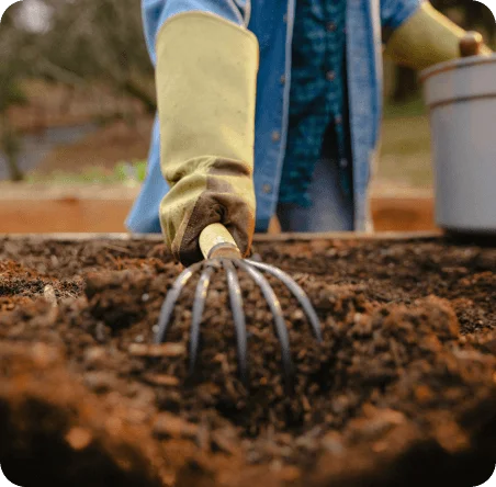 Photo of a gardener